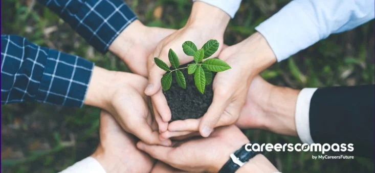 Going Green: How Singapore Companies Can Make the Change