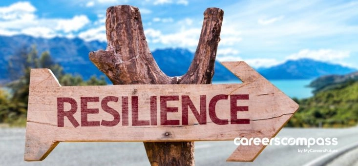 Why Resilience is a Key Skill for Your Career