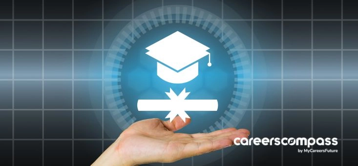 Which Industries Will Find a PMP Certification Useful?