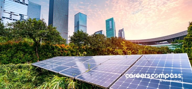 Sustainability: Industry-Specific Interview Questions and Career Outlook