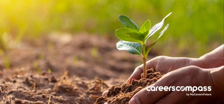 3 Ways to Embrace Imperfections for Growth