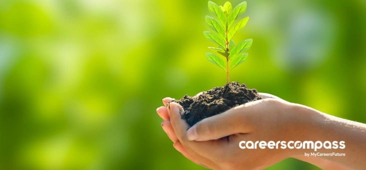 How to Succeed in the Sustainability Industry with No Prior Experience