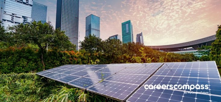 Growing Into Sustainability: Why These Companies Tap on WSG’s Career Conversion Programme for Skilled Talent