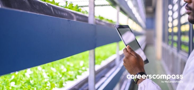 5 Reasons to Join Agritech Careers in Singapore