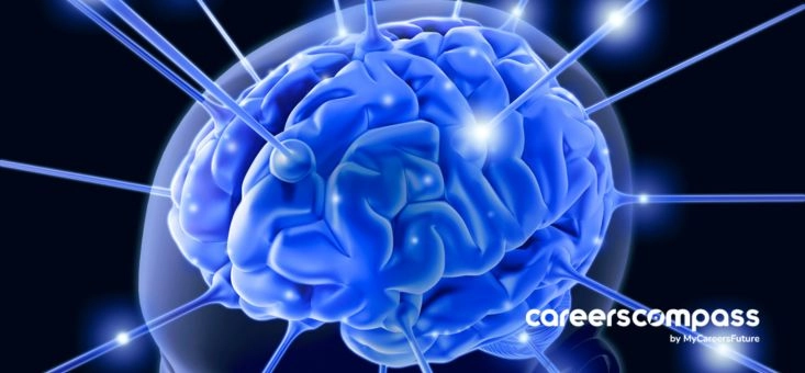 Analytical Minds Wanted: Take this Quiz to Find the Right Sector for You