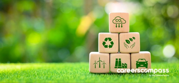 How to Start Your Career as a Sustainability Analyst