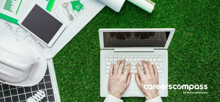 What Do I Need Before Starting a Career in the Sustainability Sector