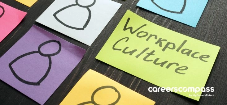 Tips to Figure Out Workplace Culture Before Saying “Yes” to the Job Offer