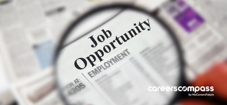 Key Singapore Job Ad Phrases to Look Out for as a PMET