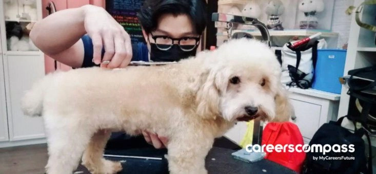 Is it Possible to Juggle Your Dream Job and Financial Goals?