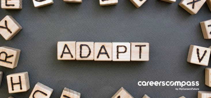 Adaptability: The 3 Step Survival Guide You Need